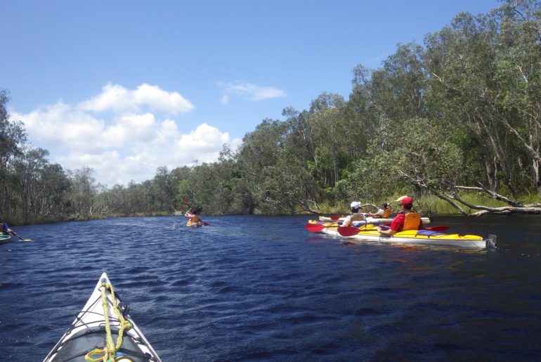 Noosa Everglades Kayaking