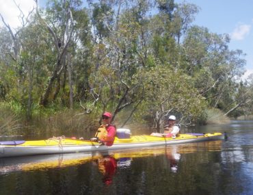 Noosa Everglades Kayaking