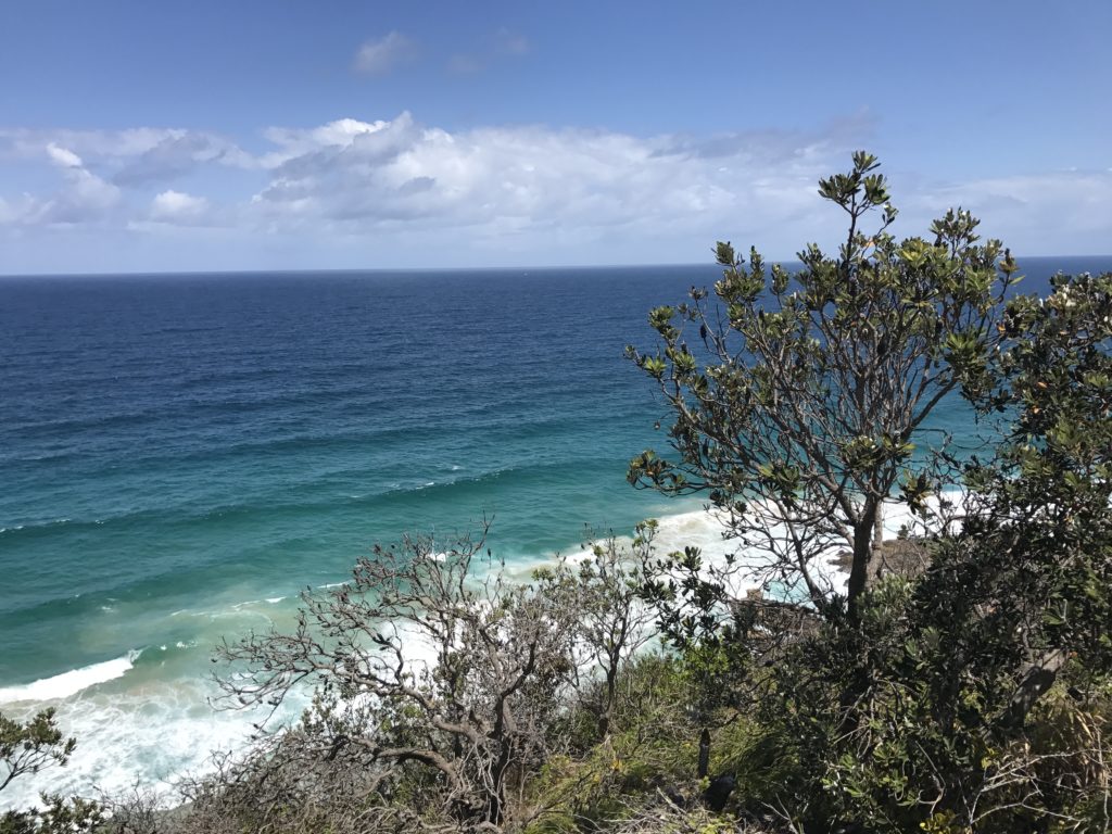 Noosa National Park